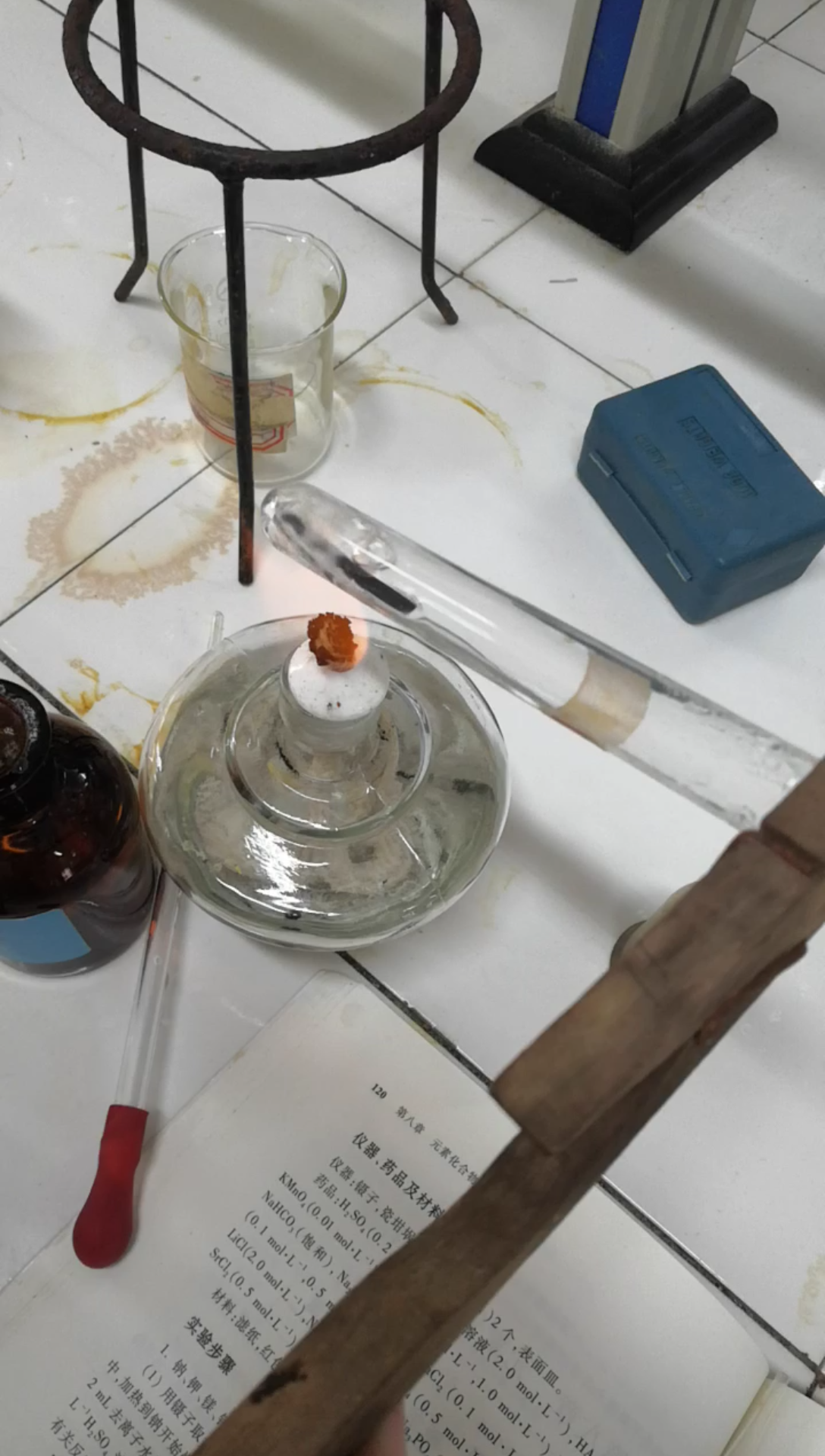 镁条在冷水与热水中反应(镁:你不要过来啊啊啊!