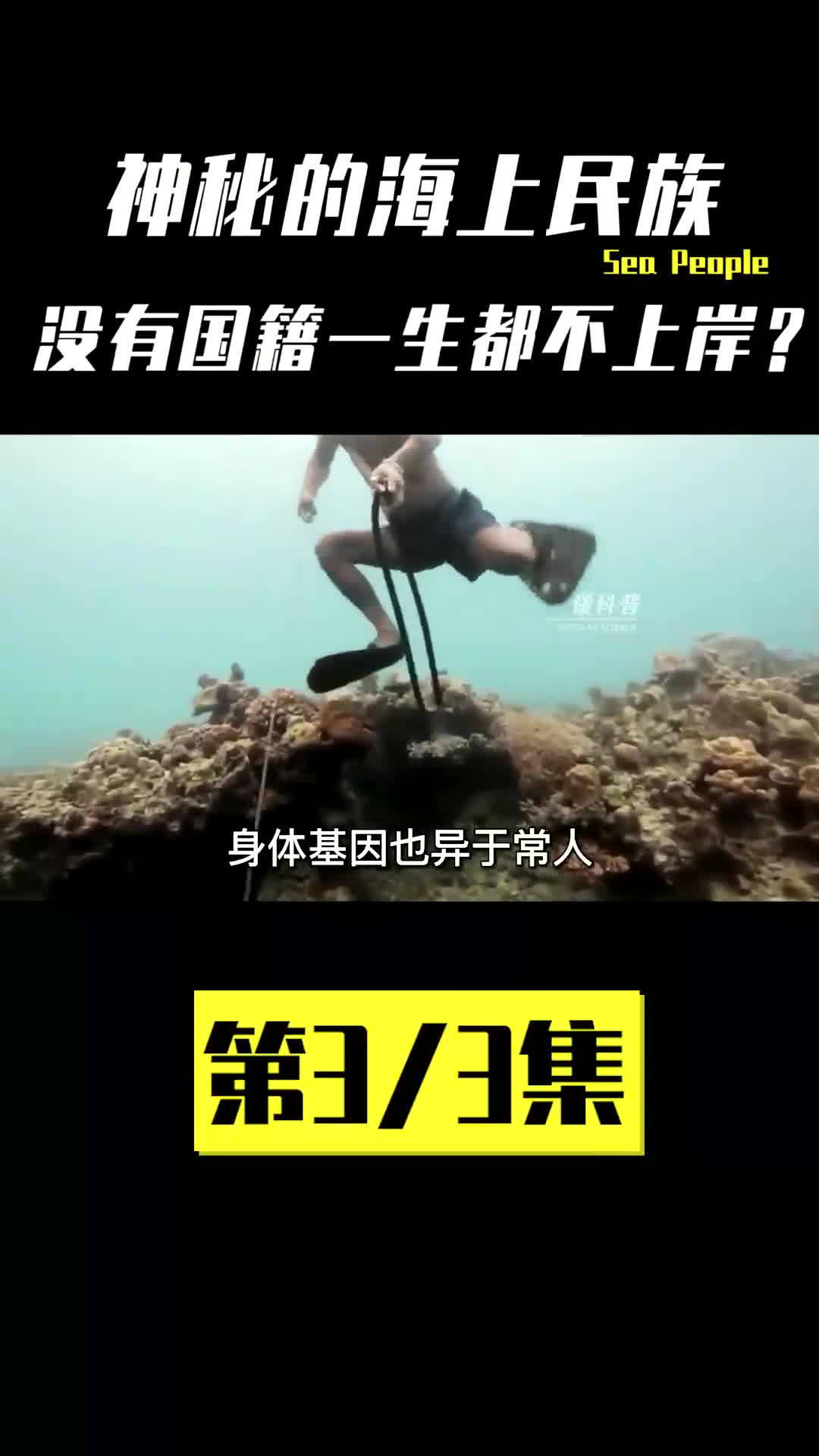 身体基因与众不同,以海为家的巴瑶族人,没有国籍一生都不上岸? #巴瑶族 #科普 #基因 #无国籍哔哩哔哩bilibili