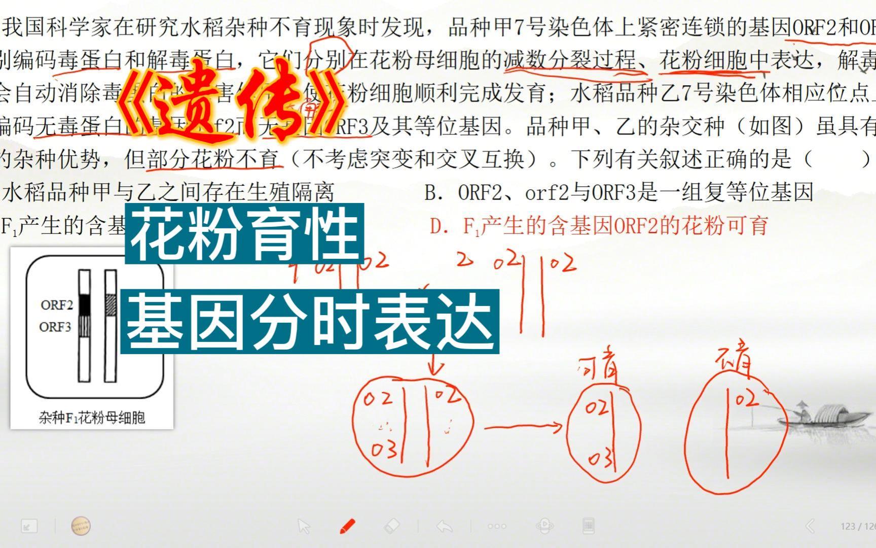 遗传毒蛋白影响花粉育性哔哩哔哩bilibili