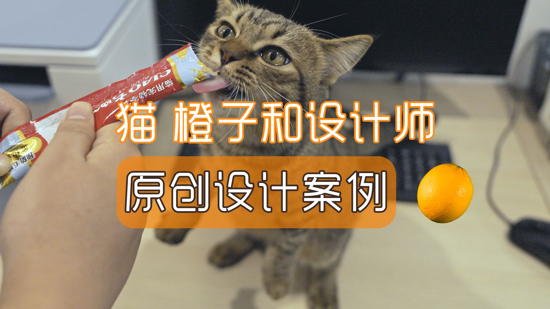 如果猫爱上橙子 | 宠物用品设计哔哩哔哩bilibili