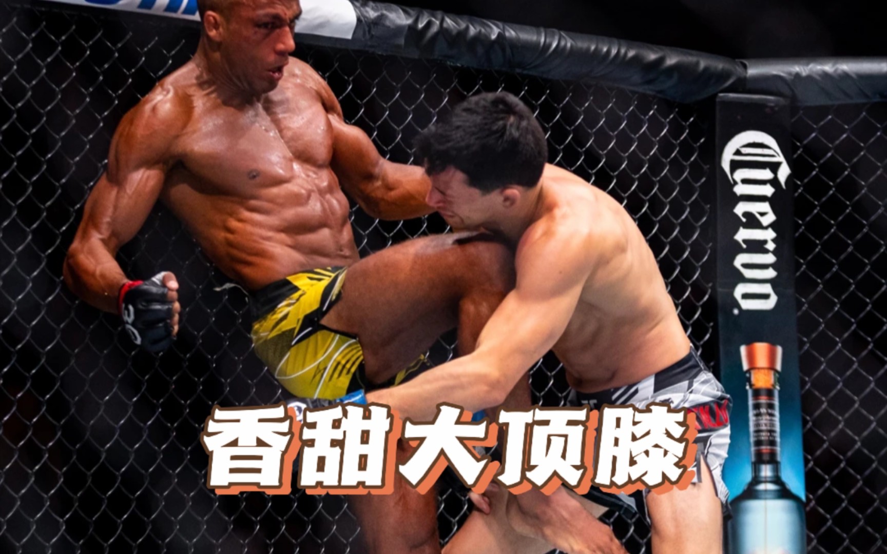 腿王艾德森巴博萨|ufc格斗之夜|沥泉格斗解说哔哩哔哩bilibili