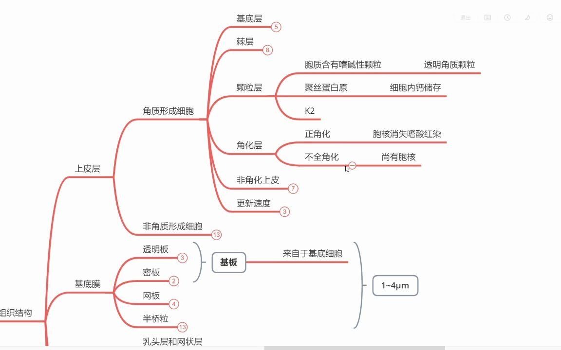 口腔黏膜与口腔黏膜病【丁俊中】哔哩哔哩bilibili