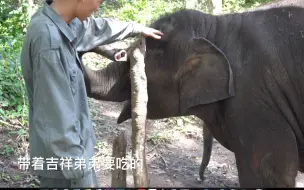 Скачать видео: 【一次看个够】羊妞公主的日常