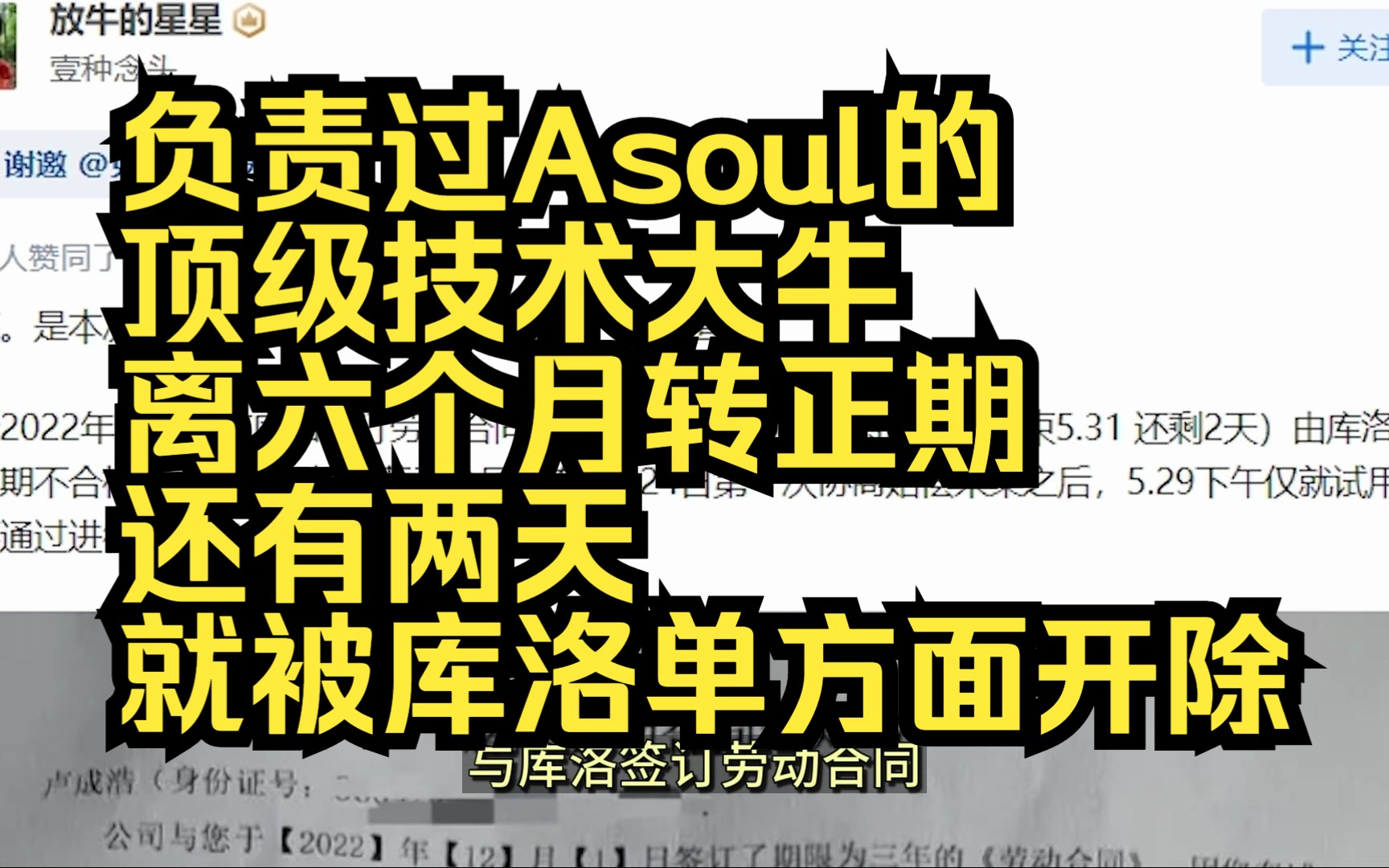 负责过Asoul的顶级技术大牛离六个月转正期还有两天就被库洛鸣潮单方面开除,且没有沟通任何补偿哔哩哔哩bilibili