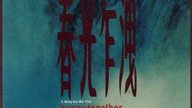【写真付き】春光乍洩 happy Together  サントラ 海外特装版 春光乍洩(電影原聲大碟) - Compilation by Various Artists