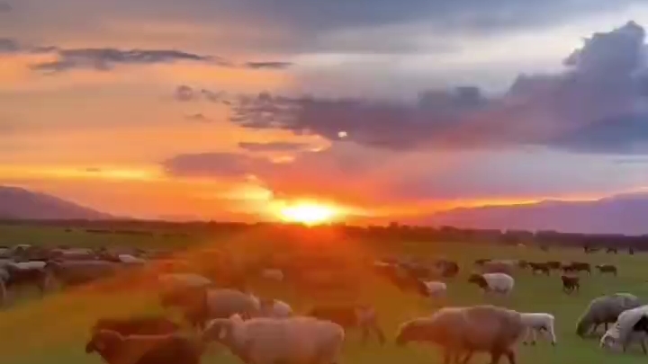 [图]草原上的日出日落 人们都说日出是最美丽的，日出就是日落，当那里夕阳西下后，地球的另一面就是美丽的黎明。