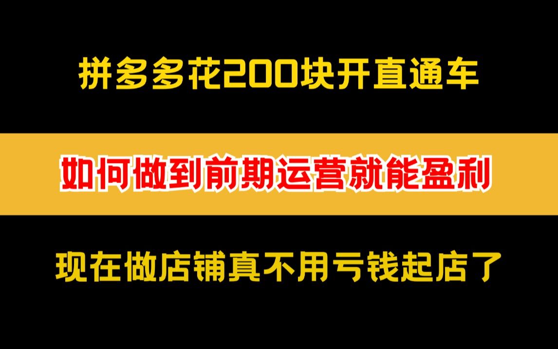 拼多多花200块开直通车如何做到前期运营就能盈利,现在做店铺真不用亏钱起店了哔哩哔哩bilibili