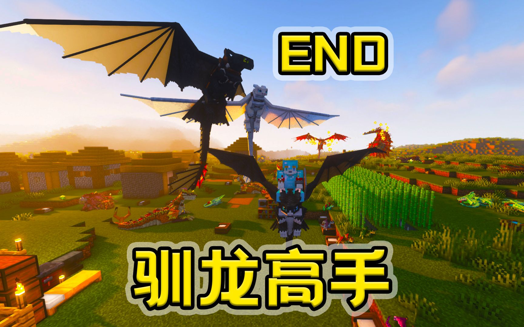 看末影龙!别看我! 我的世界 驯龙高手 end