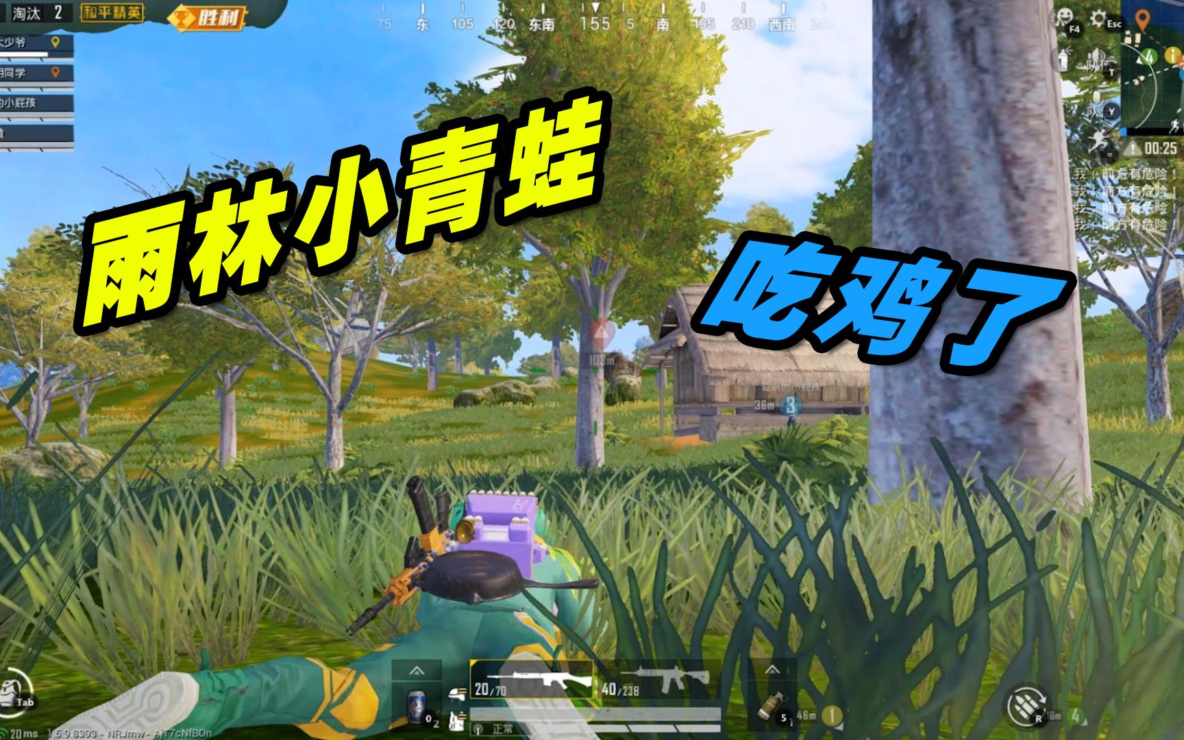 和平精英 雨林小青蛙吃鸡了