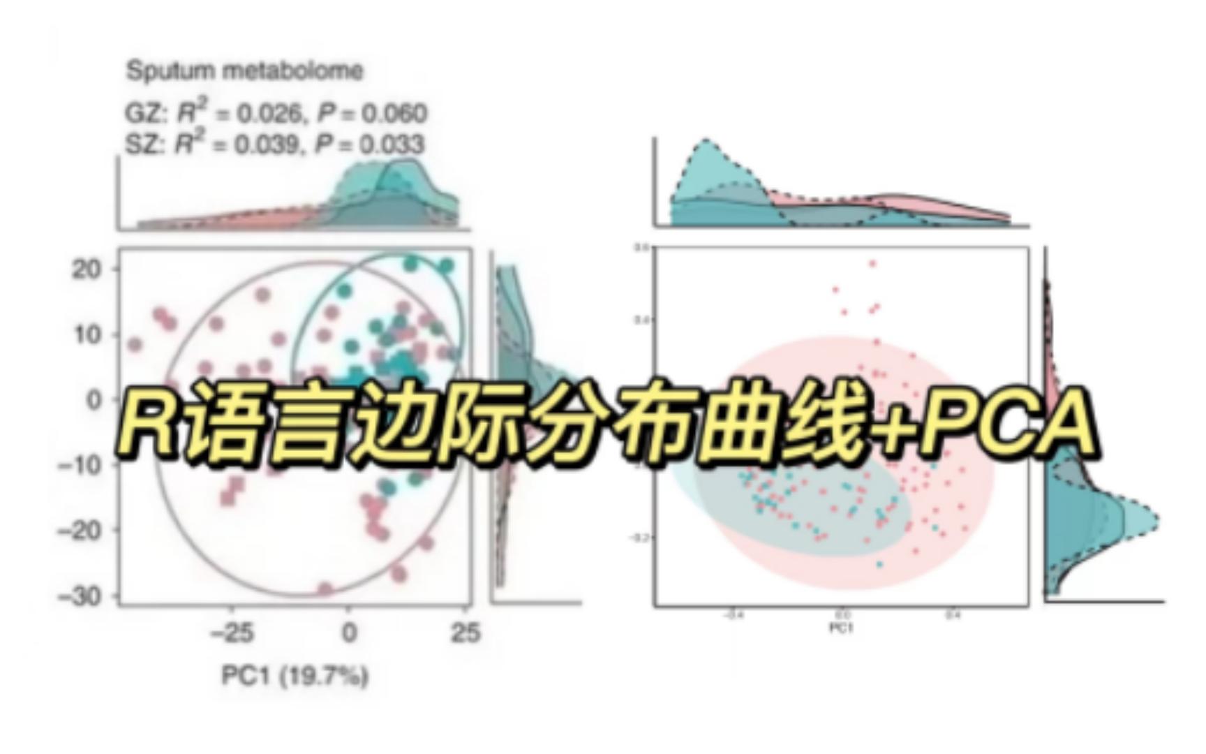 R语言边际分布曲线+主成分分析PCA图哔哩哔哩bilibili