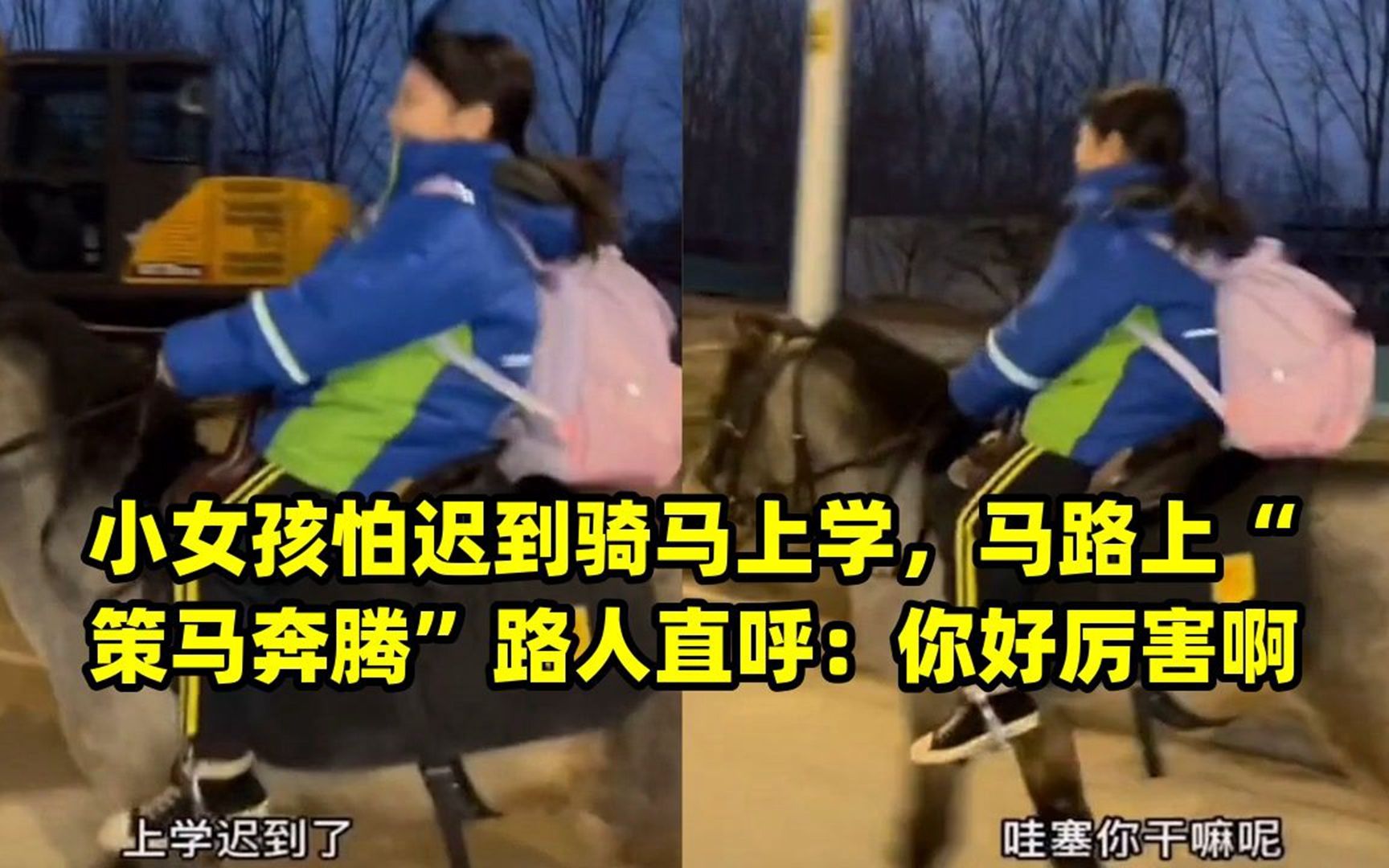 小女孩怕迟到骑马上学,马路上"策马奔腾"路人直呼:你好厉害啊