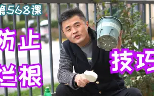 盆栽养花，怎样防止烂根？学会这五种技巧垫盆底，栽花种草没烦恼