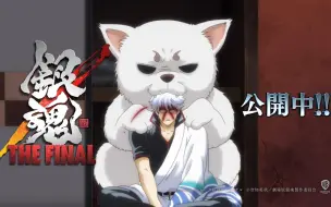 銀魂 新作 紧急特番 电影 銀魂the Final 大解析special 后篇4 制作内幕大剖析 说是有图有真相决不能漏看 哔哩哔哩