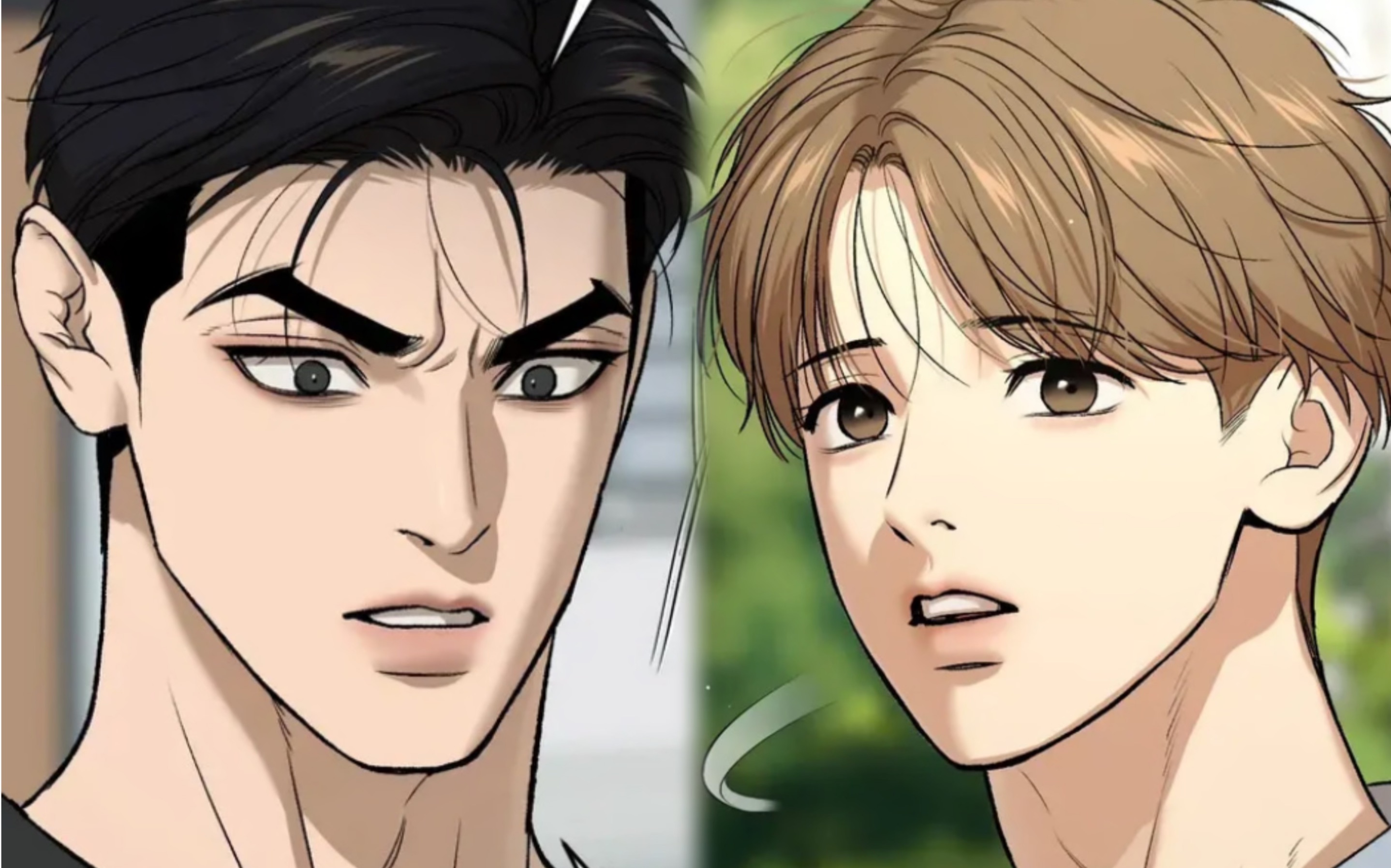 🐷选手开始坐不住了,发了疯一样的找金丹