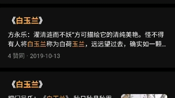 带血的白玉兰哔哩哔哩bilibili