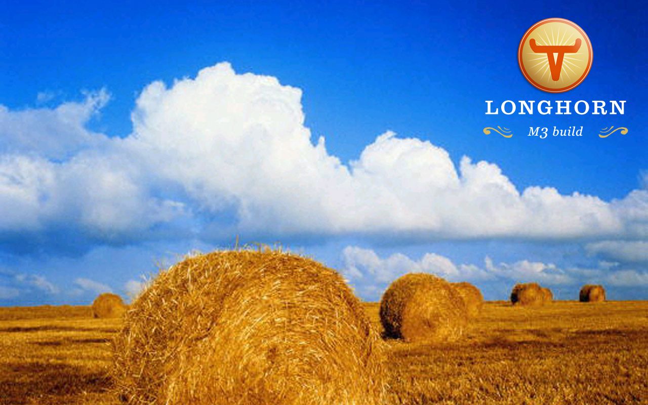 活动作品我安装了windowslonghornmilestone3build3683在实体机上