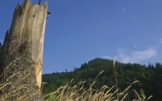 山风短视频摄影