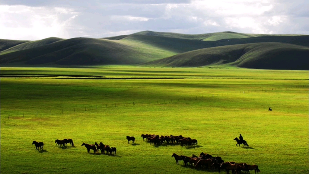 呼伦贝尔草原是中国北方游猎民族和游牧民族的发祥地之一也是多民族的
