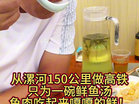 从漯河150公里做高铁只为一碗鲜鱼汤鱼肉吃起来嘎嘎的鲜!哔哩哔哩bilibili