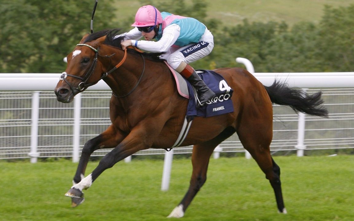 【光荣古活预热】2011年992012年萨塞克斯锦标 范高尔(frankel)