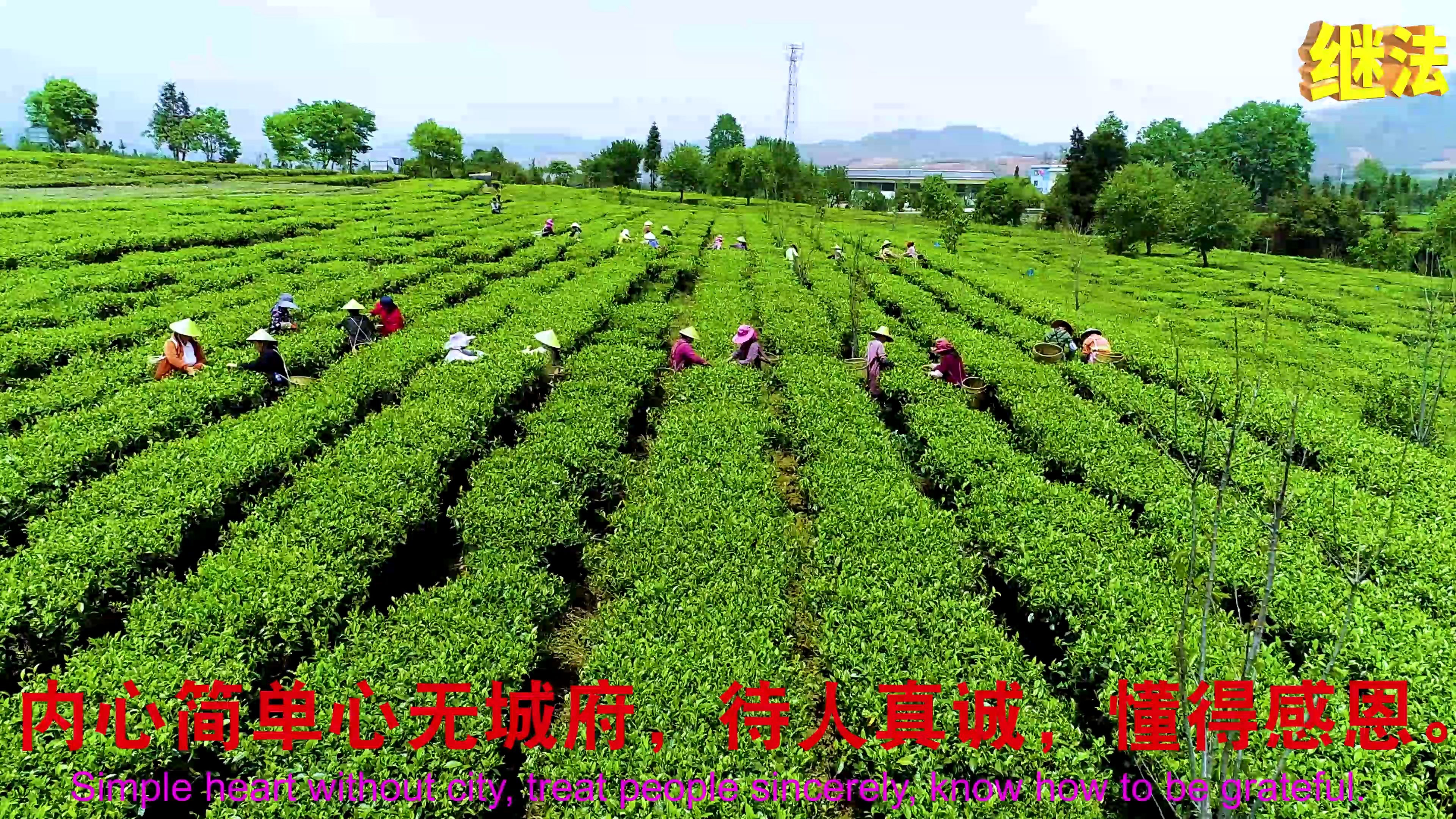 [图]你的善良里，藏着你的福气，