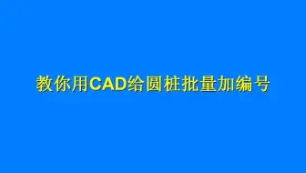 教你用CAD给图纸中，上千个圆桩批量添加编号，大神技巧赶紧收藏