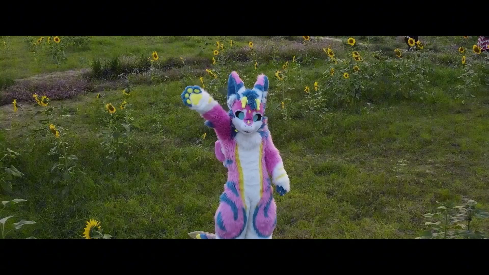 【兽装】天使龙-向阳而生