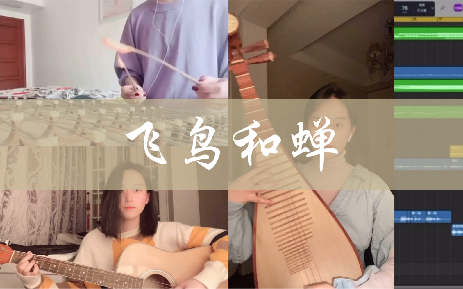 飞鸟和蝉琵琶吉他扬琴库乐队