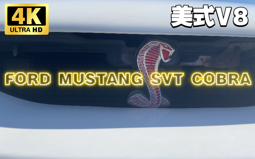 福特野马Mustang Cobra SVT,4.6升美式V8哔哩哔哩bilibili