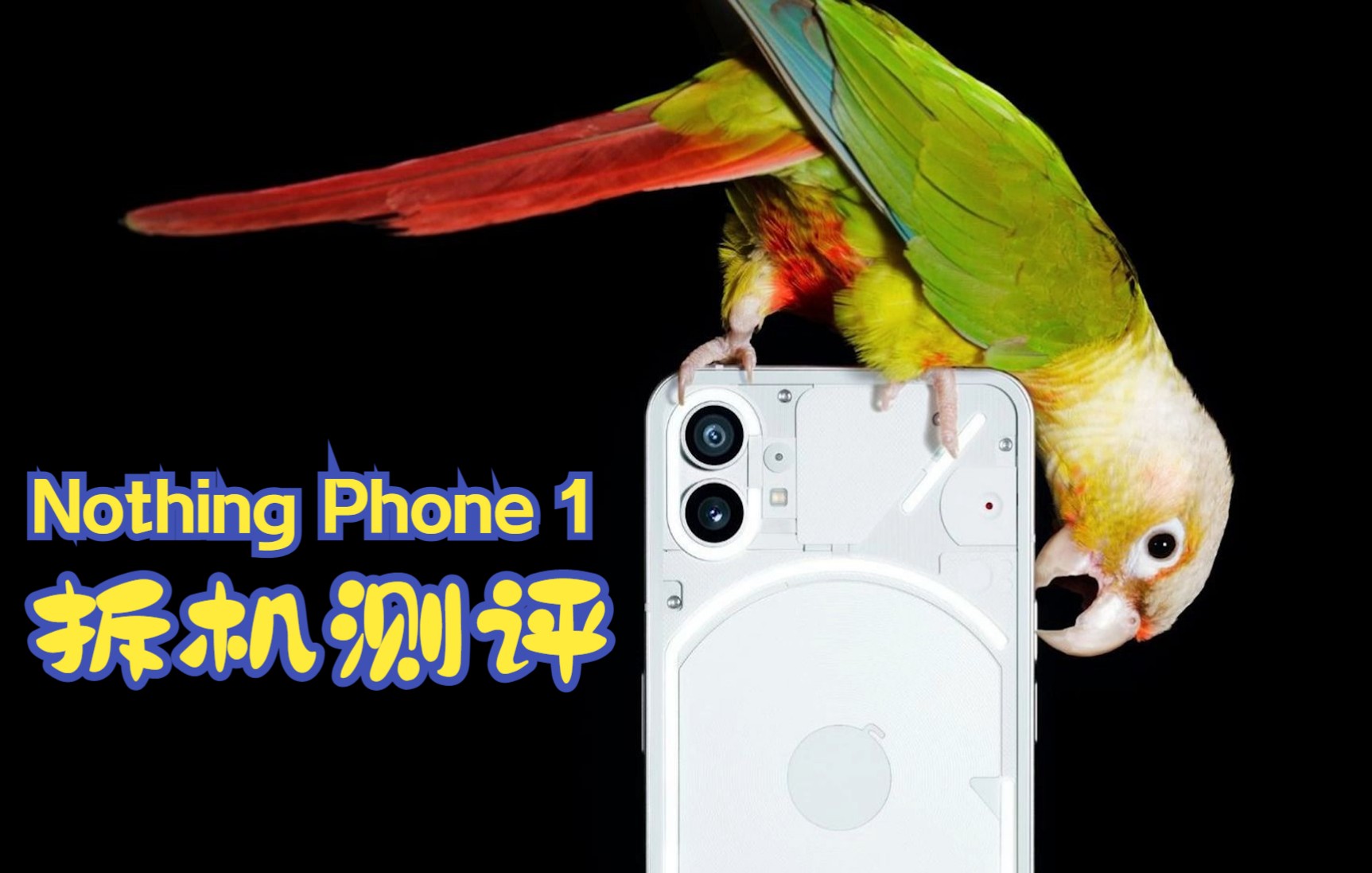 Nothing Phone 1 (透明手机) 拆解评测哔哩哔哩bilibili