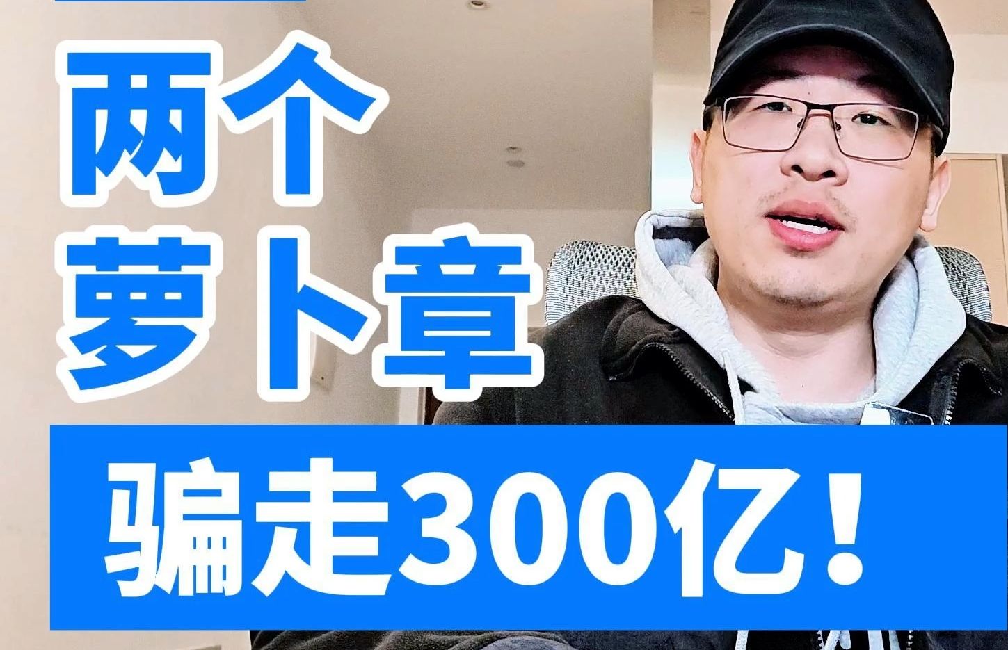 两个萝卜章,骗走300亿!哔哩哔哩bilibili