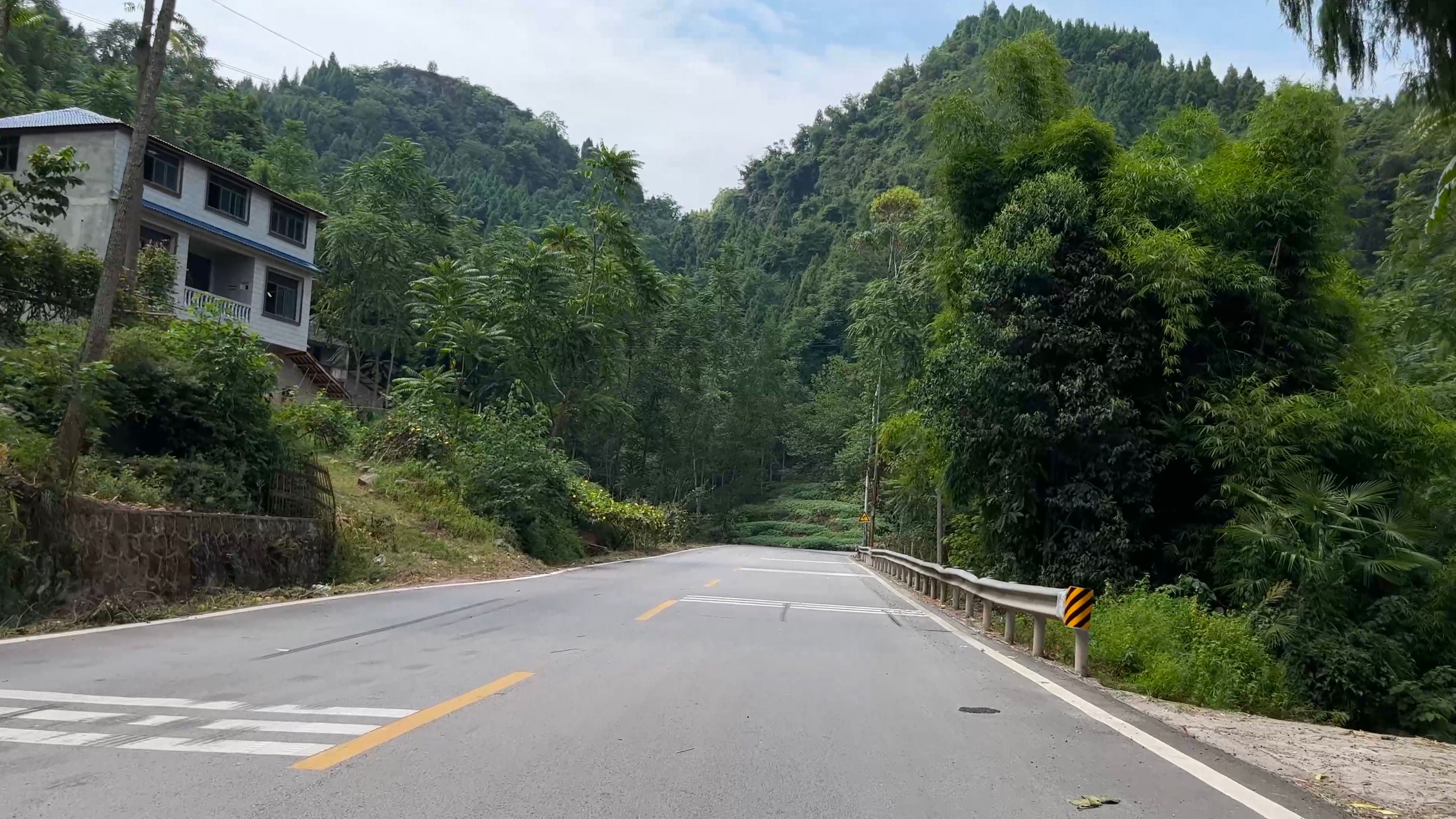 s3ep973 骑行 四川省 广安市 g318 2115 山上绿植很茂密