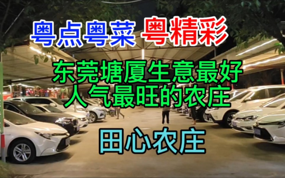 粤点粤菜粤精彩,东莞塘厦镇,生意最好人气最旺的农庄,田心农庄,粤语中字幕哔哩哔哩bilibili