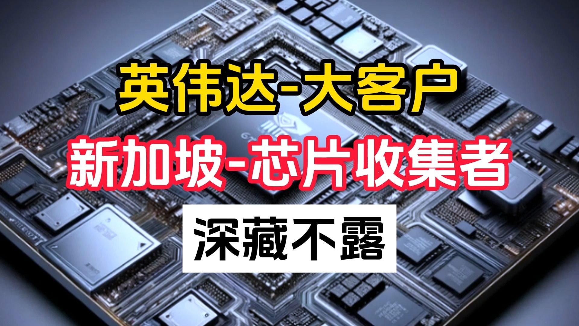 新加坡芯片收集者!英伟达23年度芯片大客户!真的是深藏不露!哔哩哔哩bilibili
