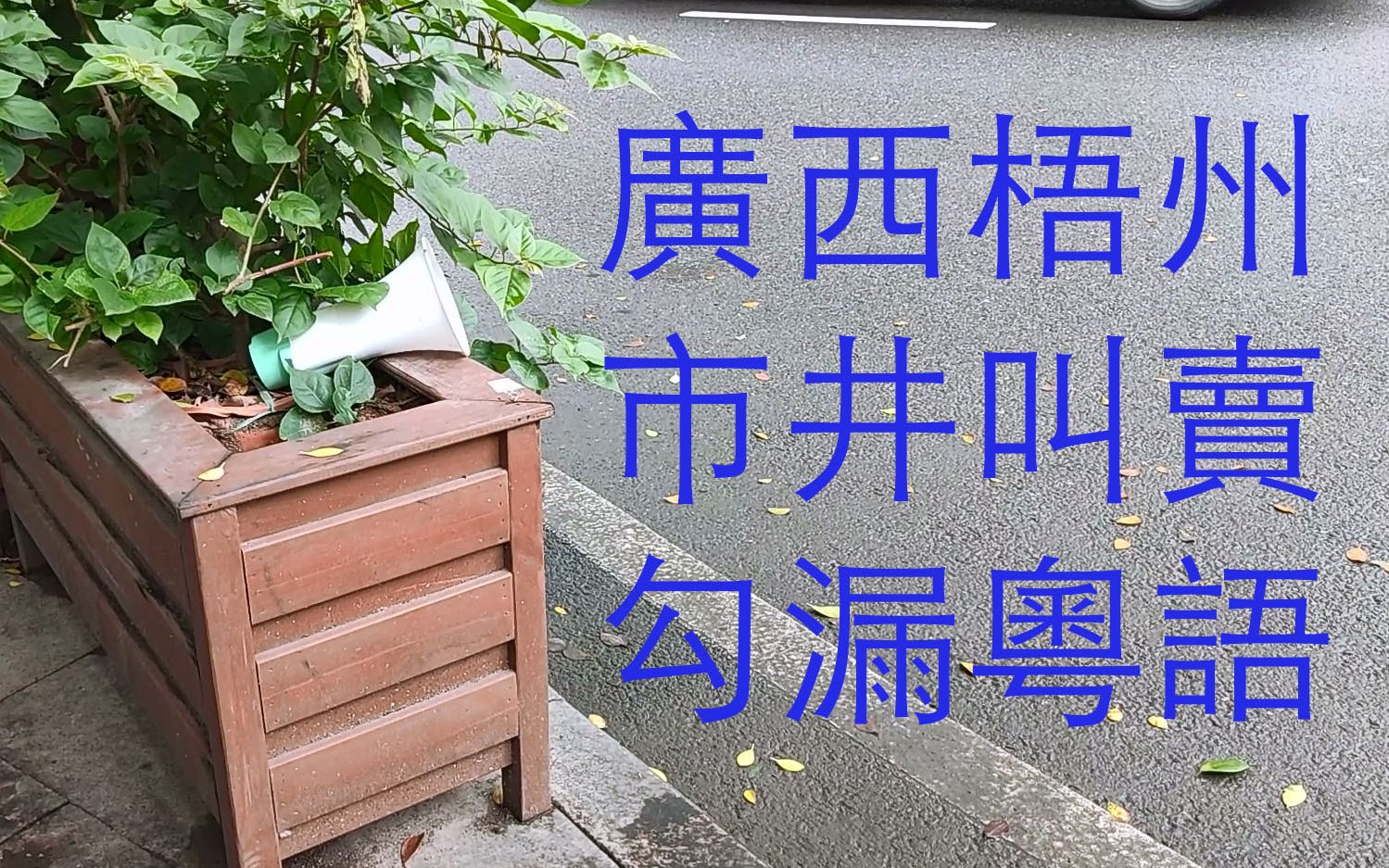 【市井方言实录】梧州某肉菜超市门口,使用勾漏粤语播放叫卖促销宣传语哔哩哔哩bilibili