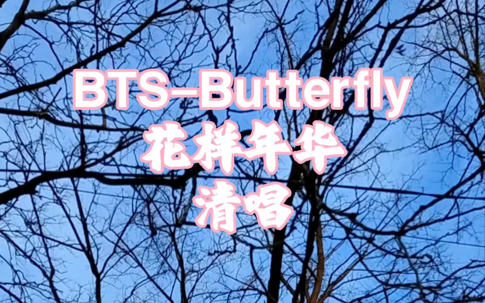 【mandyw】防弹少年团butterfly_清唱bts_花样年华_daily cover
