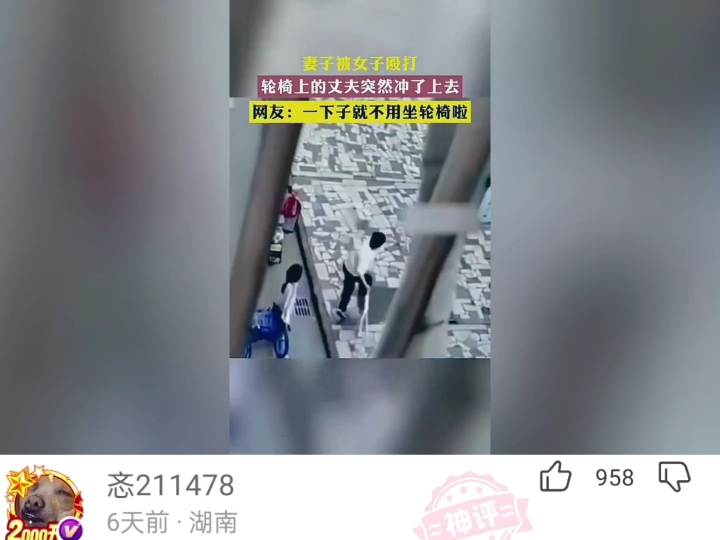 【乐乐趣味视频】最新视频已上线,快来围观!哔哩哔哩bilibili