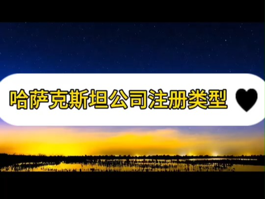 哈萨克斯坦公司注册类型哔哩哔哩bilibili