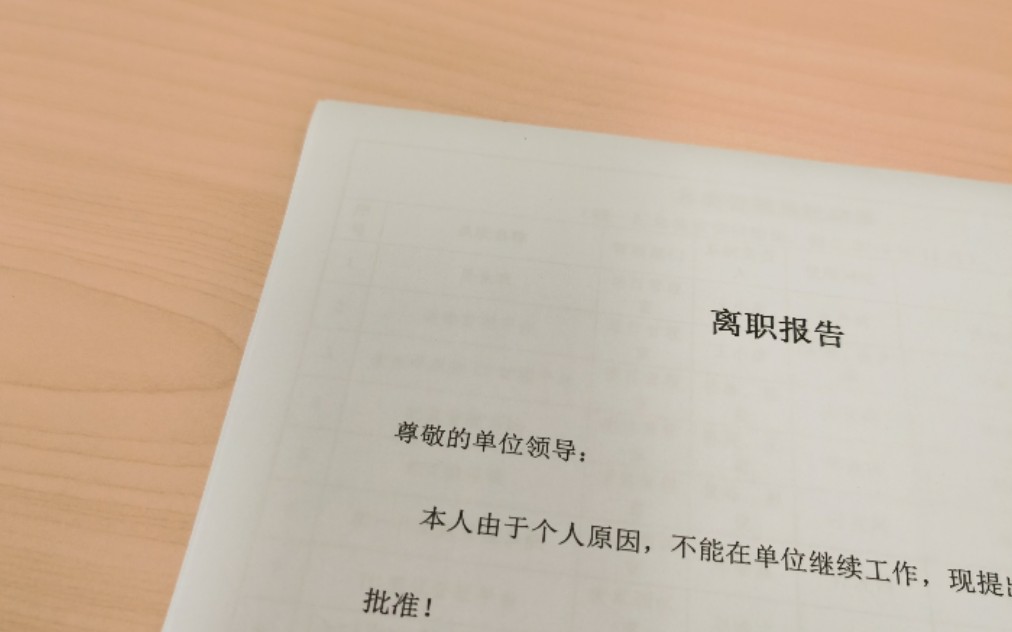 22岁从银行裸辞考事业编,再见啦农信,人生下一站我来啦哔哩哔哩bilibili