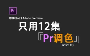 Download Video: 【零基础入门Pr调色】摸良心！这绝对是全B站最用心（没有之一）的Pr调色教学，轻松掌握调色原理！