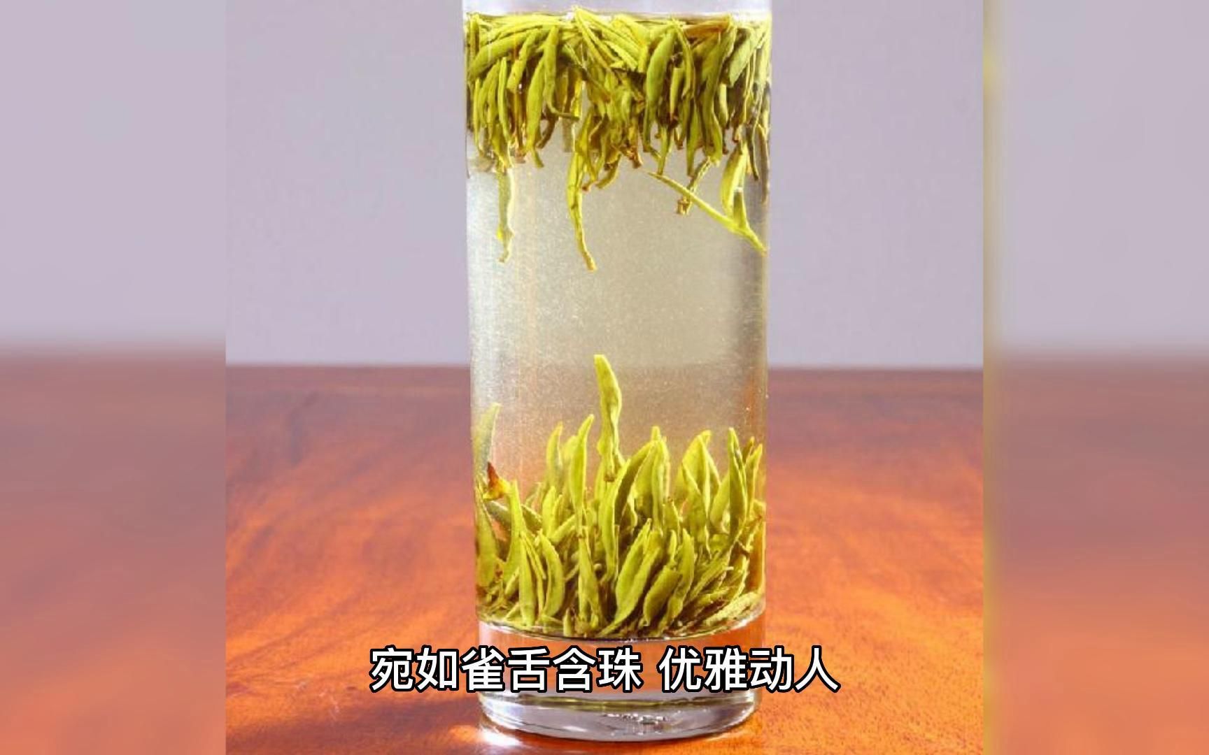 「茶文化」见证茶舞奇观,品赏君山银针黄茶的茶叶之美!哔哩哔哩bilibili