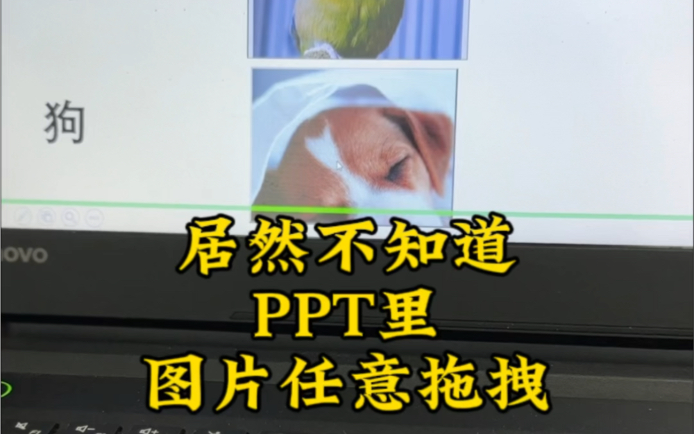 ppt里任意拖拽图片,课件里超好用,居然才知道哔哩哔哩bilibili