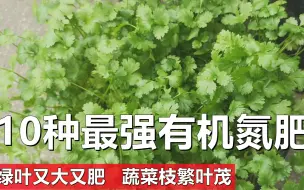 Download Video: 10种有机氮肥让蔬菜枝繁叶茂