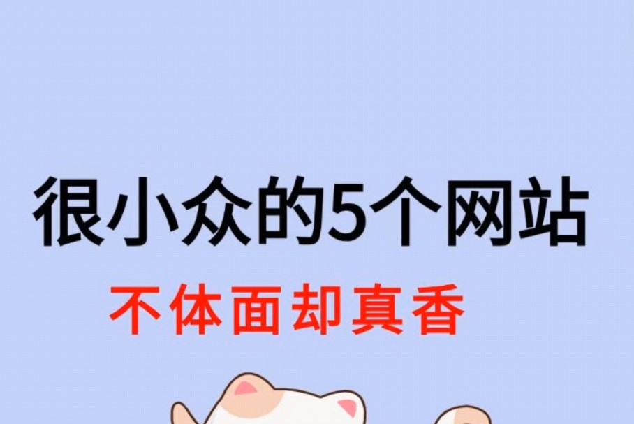 不知名的5个网站 搞收入很到位哔哩哔哩bilibili