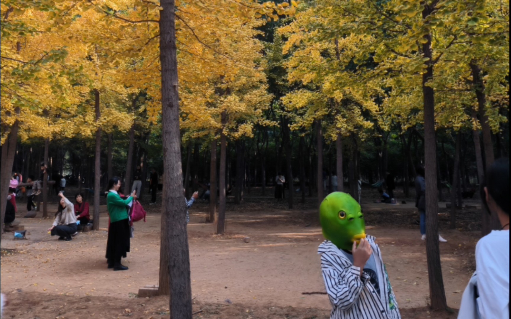 [图]《秋日和》