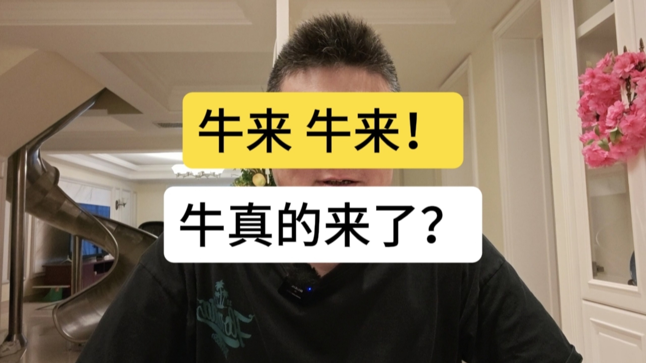 牛来！牛真的来了？