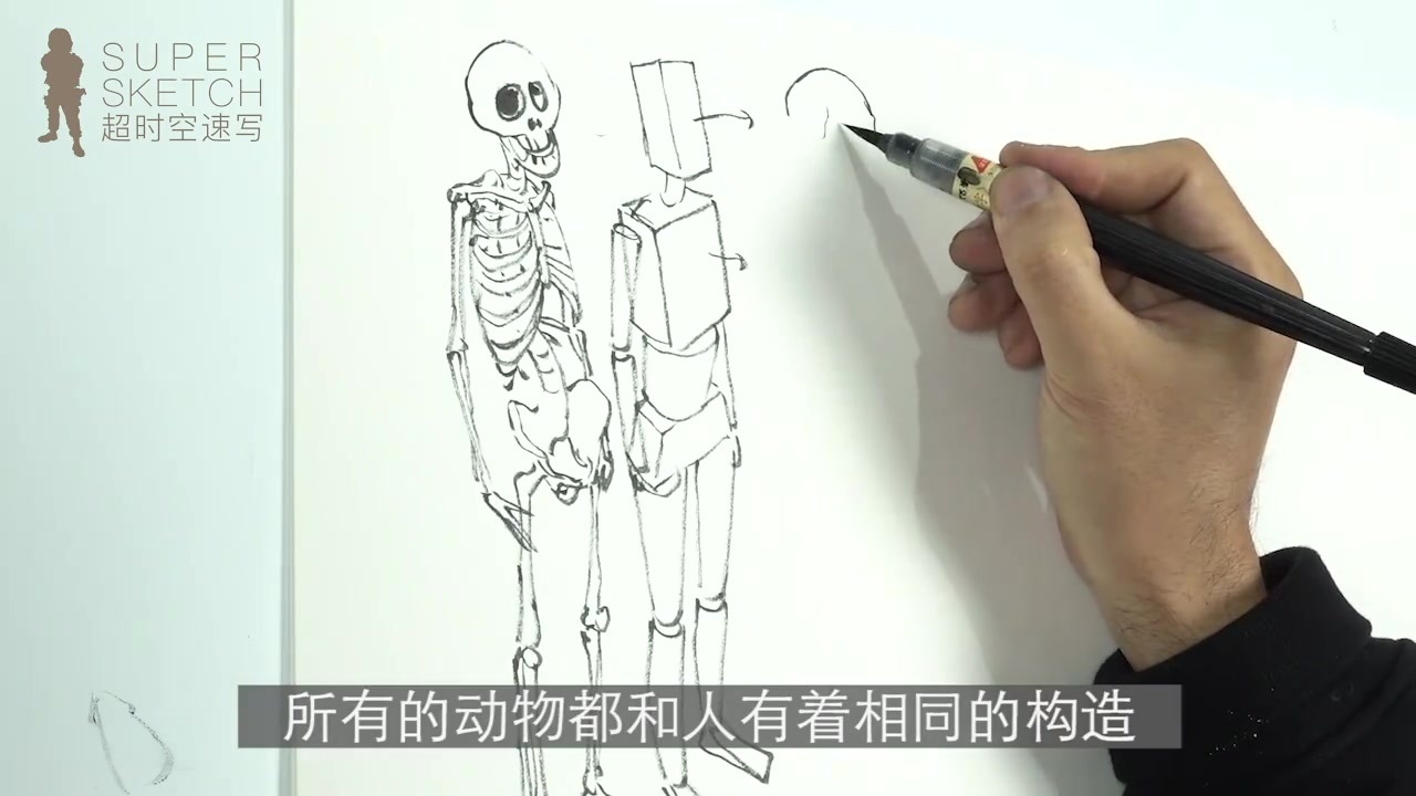 金政基老师人体骨骼讲解超时空速写