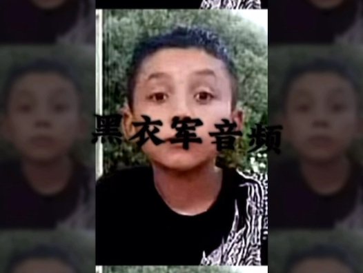 黑 衣 军 金 牌 打 手