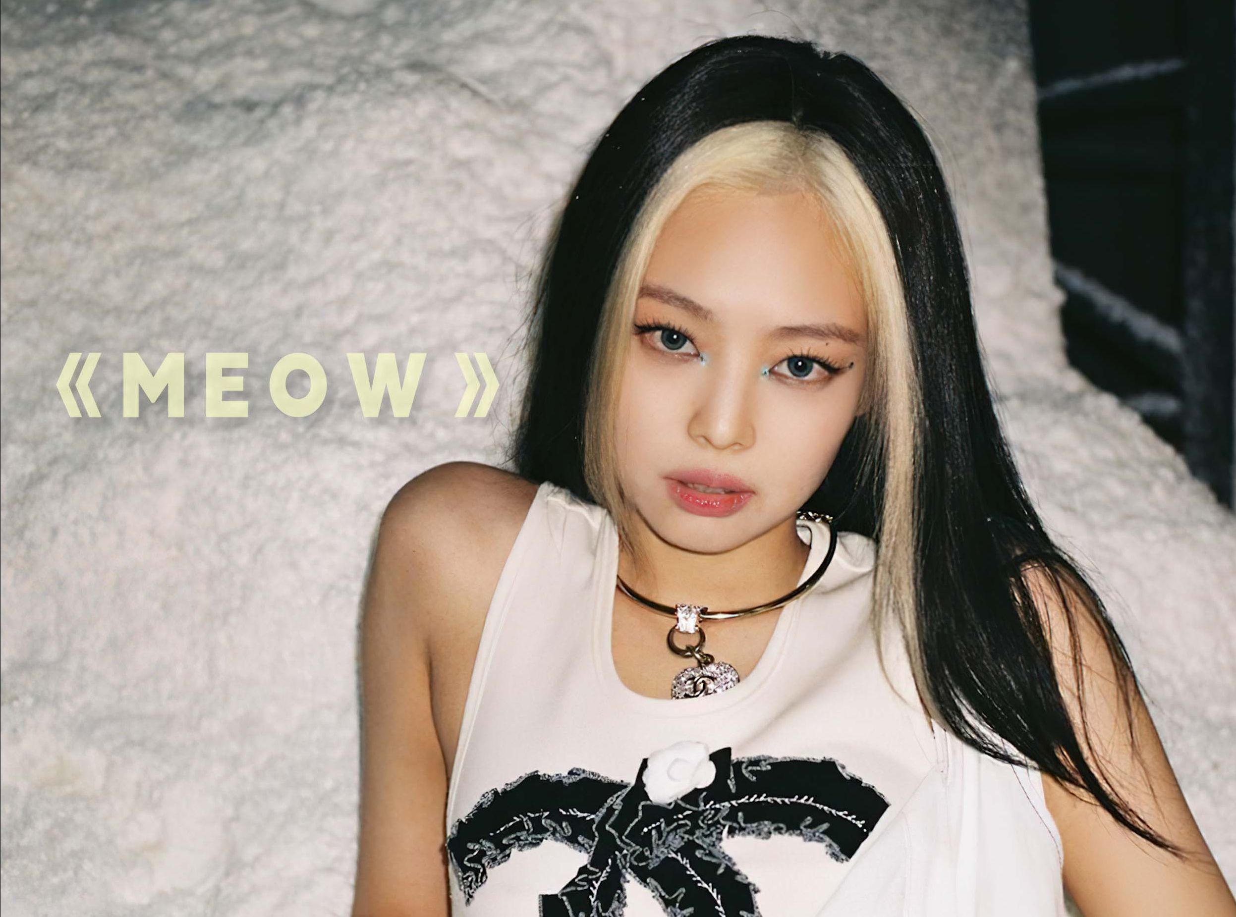 【AI Jennie】《 MEOW 》‖ 韩元、日元、美元 逗号,逗号,逗号哔哩哔哩bilibili