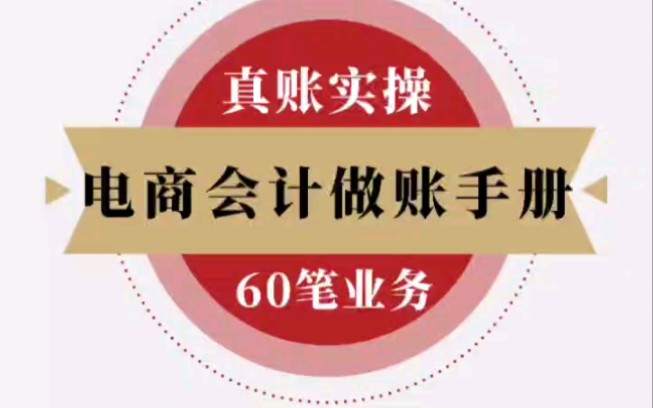 会计实操:电商会计实操做账手册,附电商会计账务处理案例哔哩哔哩bilibili